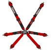 Copse 6pt FIA 8853:2018 Harness - 2" - Snap Hook or Bolt-In, Pull-Down - Red